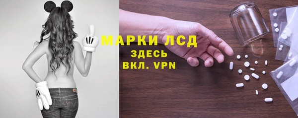 СК Михайловск