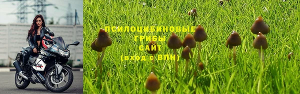 ешки Михайловка