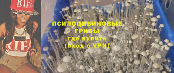 скорость Вяземский