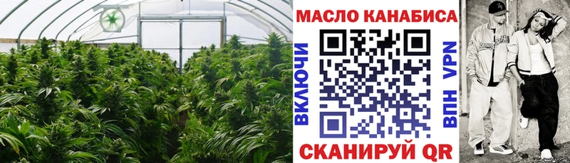 купить наркотик Шилка мега онион Дистиллят ТГК жижа
